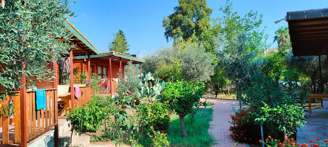 Felicity Hotel & Bungalows