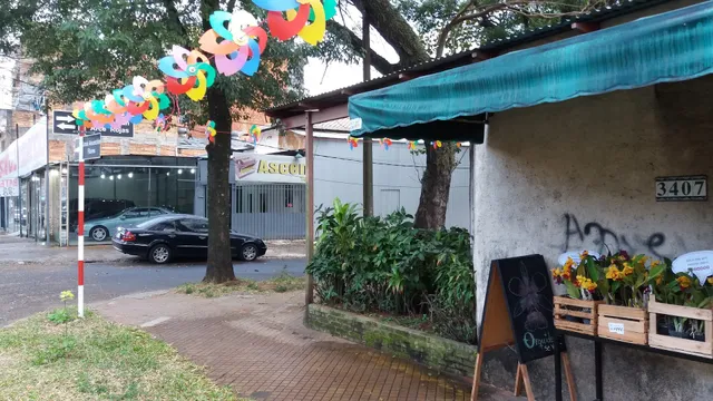 希望多元文化空間Espacio Multicultural Esperanza