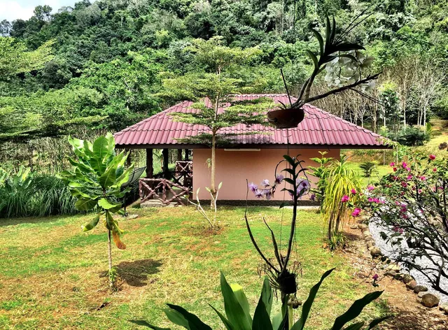 Khao Sok Hill Top Resort