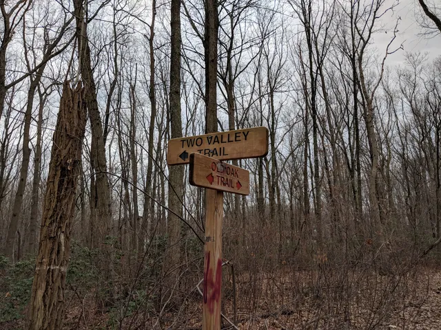 Lenape Woods Nature Preserve