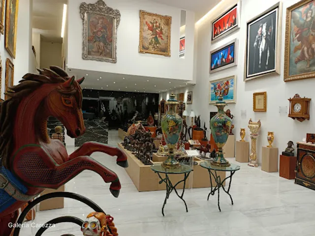 Galería Carezza SLP