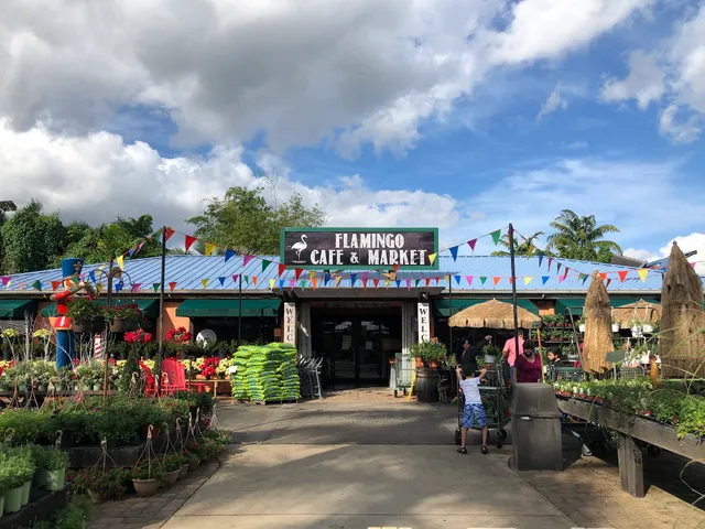 Flamingo Road Nursery
