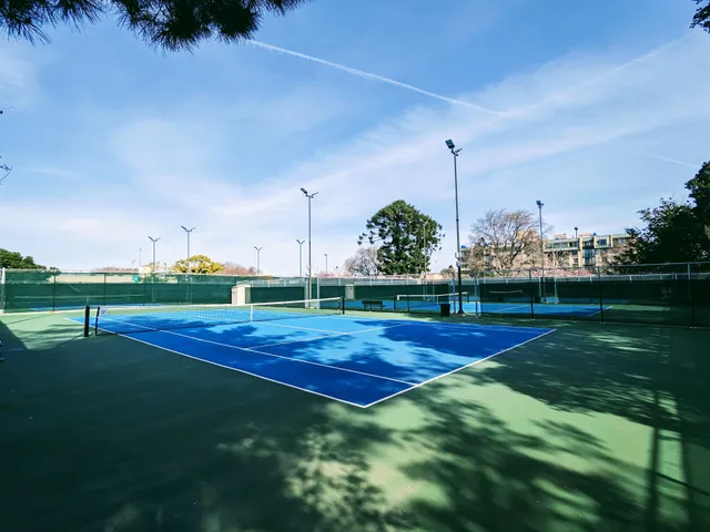 Tennis Courts | Central Park