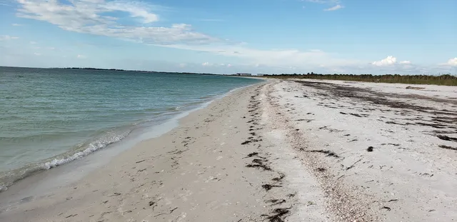 Caladesi Island Ferry Tickets & Information