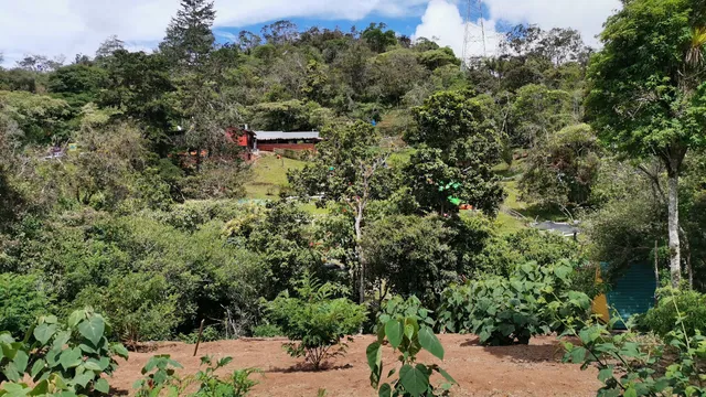 Mirador Las Oropendolas