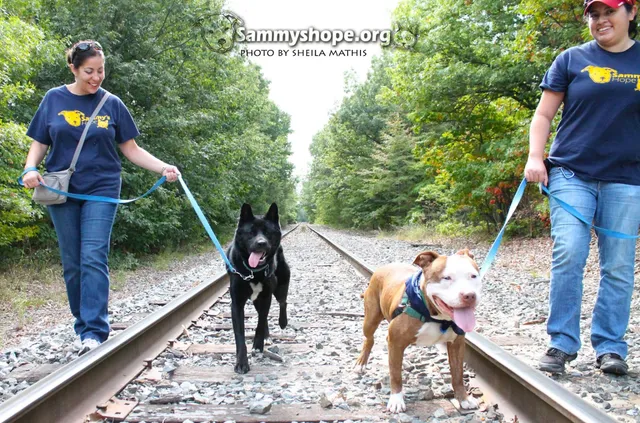 Sammys Hope Animal Welfare & Adoption Center