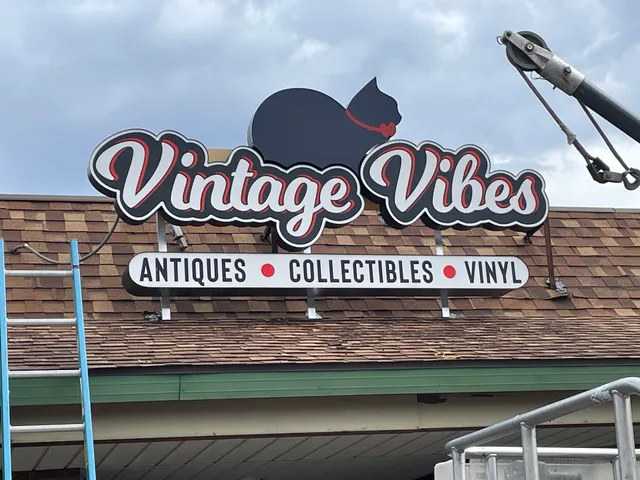 Vintage Vibes Antiques Collectibles Vinyl