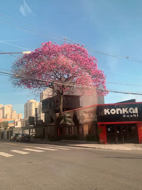 Konkai Sushi Rudge Ramos