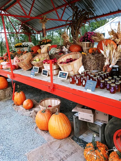 Stone Tavern Orchards