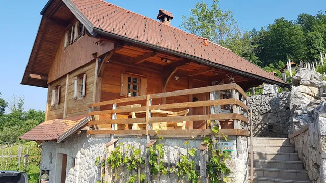 Zidanca med vinogradi