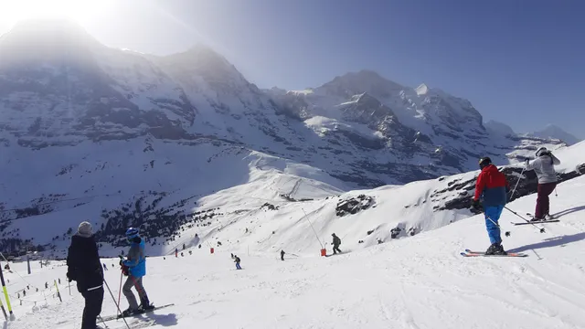 Jungfrau Ski Region - Kleine Scheidegg - Männlichen - Wengen
