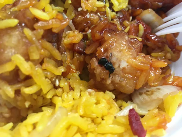 Furama Chinese Restaurant