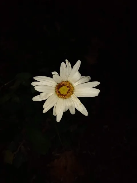 Southbury Parks & Recreation