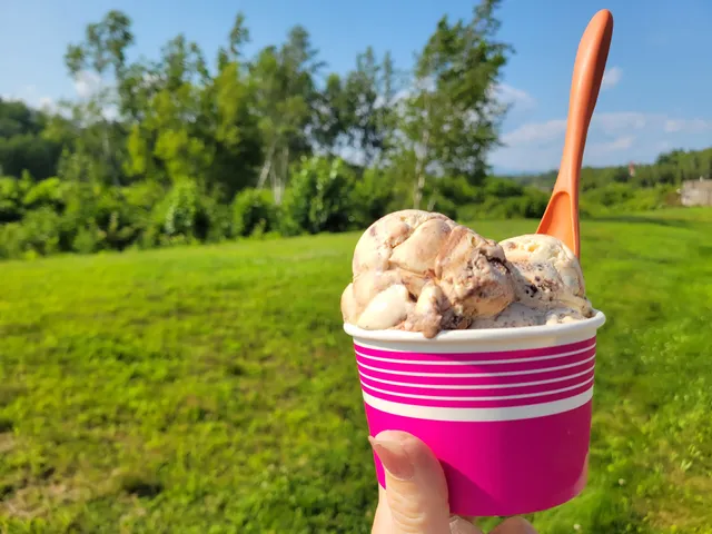 Hammond’s Farm and Ice Cream