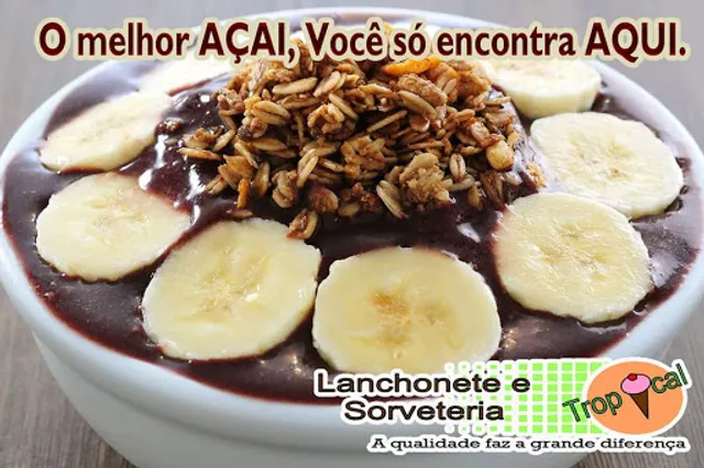 Lanchonete e Sorveteria Tropical