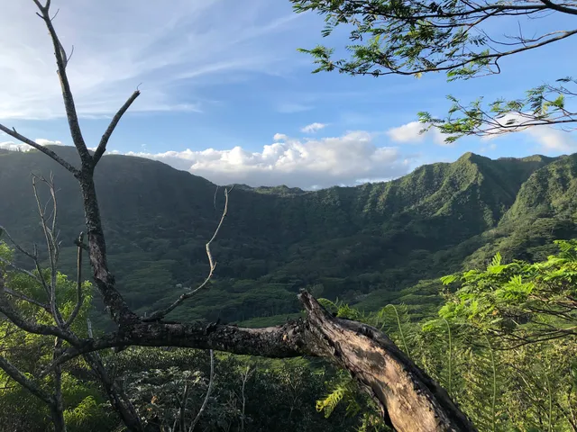 Summit of Puʻu Pia Trail