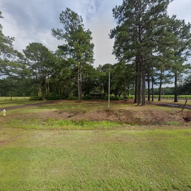 Baldwin Grape Vineyard