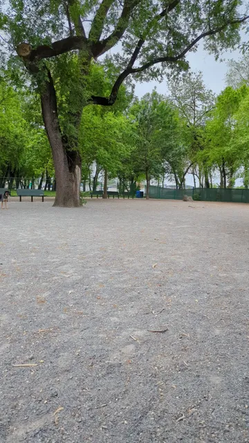 Lincoln Park Dog Run