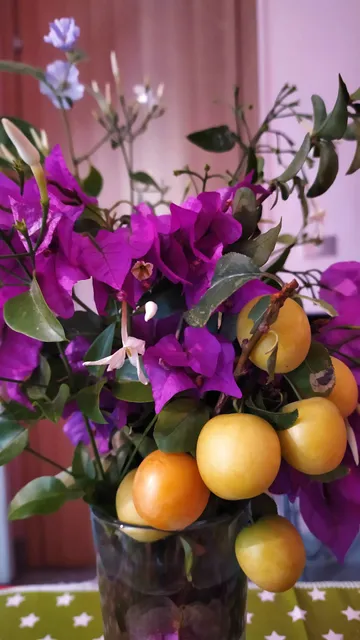 Bordighera Bed and Breakfast