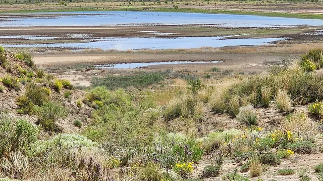 Bitter Lake National Wildlife Refuge