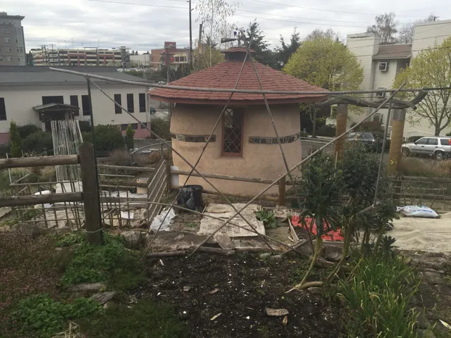 Maple Leaf Community Garden P-Patch