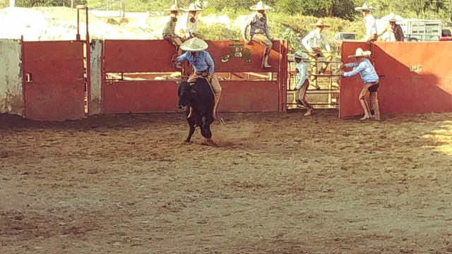 Lienzo Charro J. JESUS JARERO