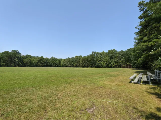Bellplain State Forest Astronomy