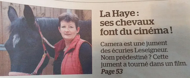 ECURIE LESEIGNEUR ; cours/stages, promenades, animations, jeux de piste numérique, CAMPING, HEBERGEMENTS INSOLITES, GITE