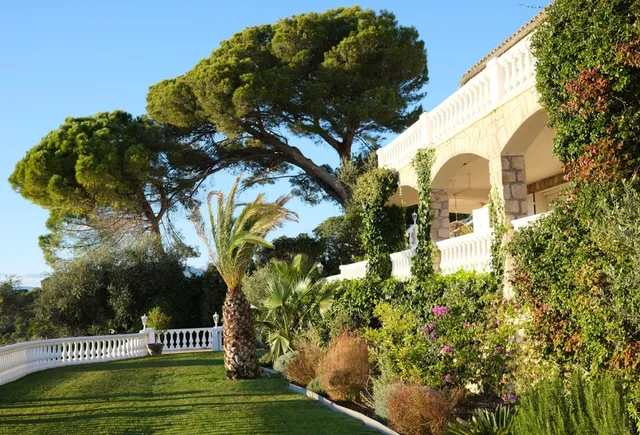 Le Mas Des Collines 1955