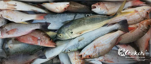 Pescados y Mariscos Chakchi