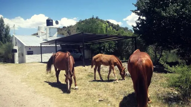 Complejo de Cabañas Salamanca