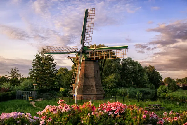 1e Poellaan 65 Lisse