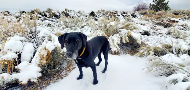 Gun Dog Supply - Shipping Warehouse