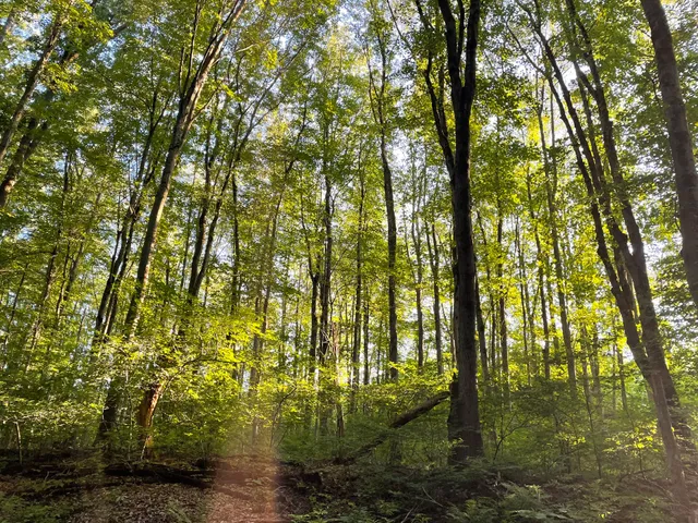 Mattabesset Multi-Use Trail (Bike Path)