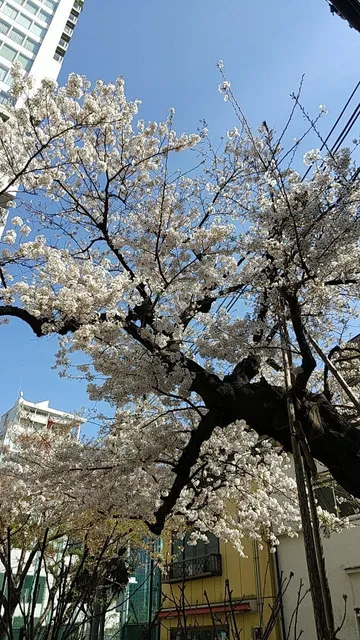 Okido Children's Playground