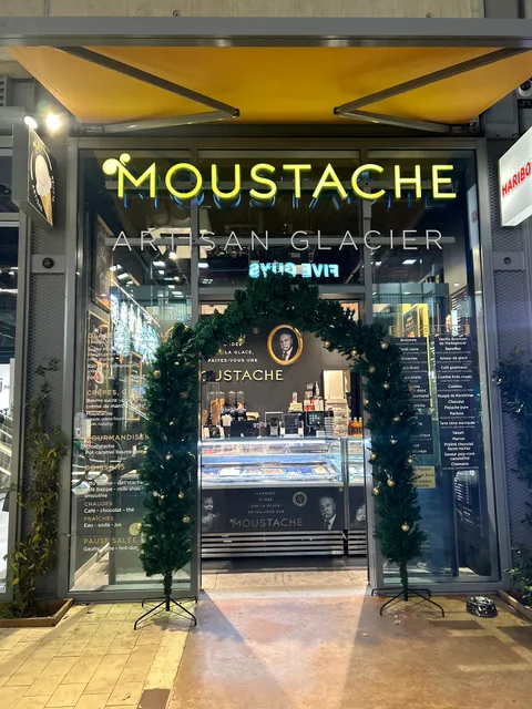 Glaces Moustache-Artisan Glacier