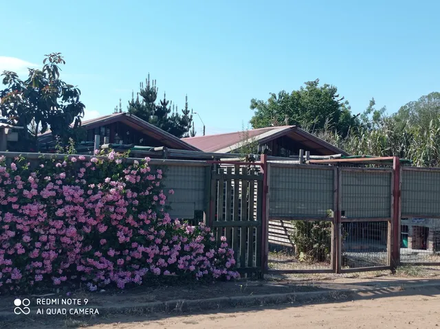 Cabañas Las Golondrinas