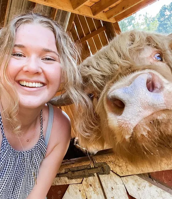 Spring Haven Farm LLC