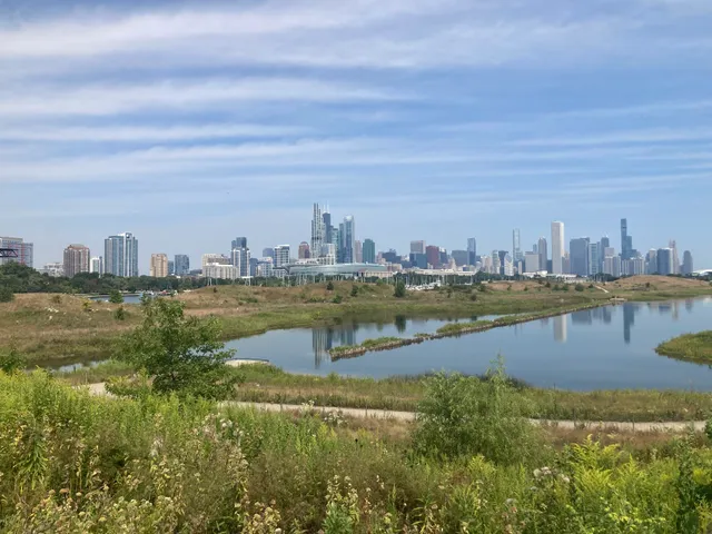 Northerly Island Natural Area