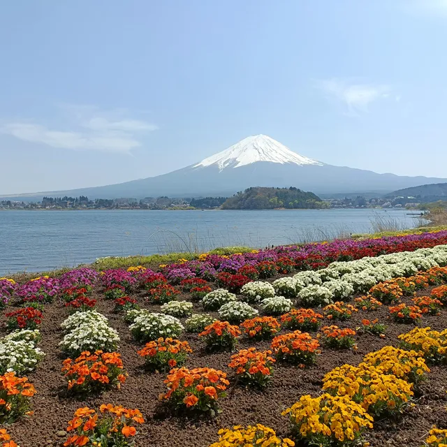Lake Kawaguchi Rowing Center