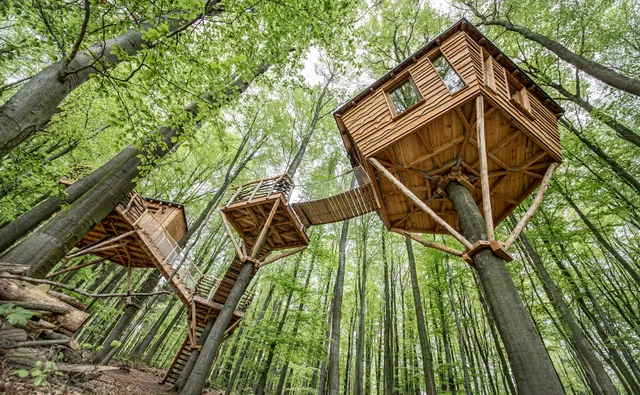 Robins Nest Baumhaushotel