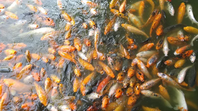 Qingxiushan Scenic Area （South Gate）