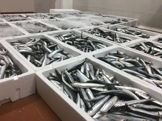 Pescados y Mariscos Gutiérrez Pastrana