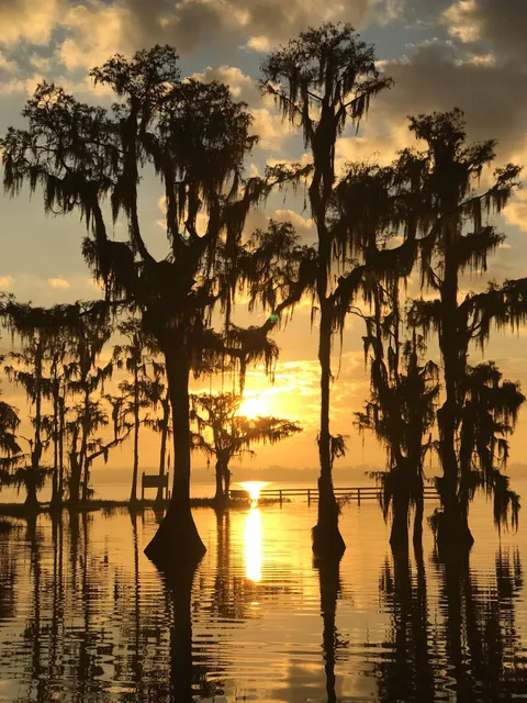 Cypress Cove Marina and Resort
