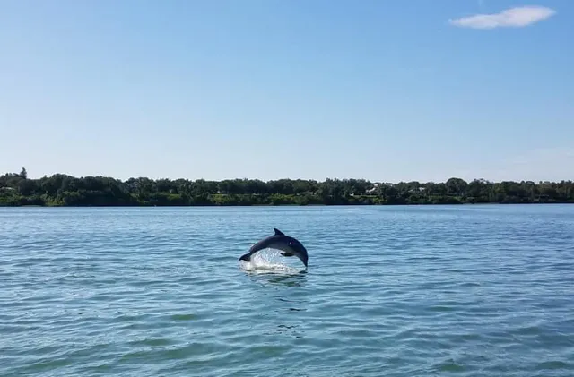 Sea-N-Things Boat Trips