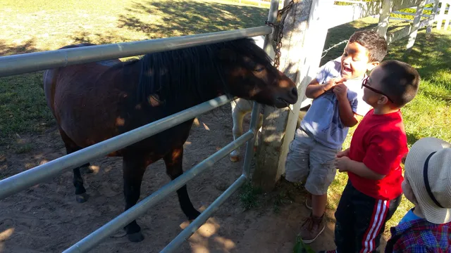 Cheshire Hollow Farm