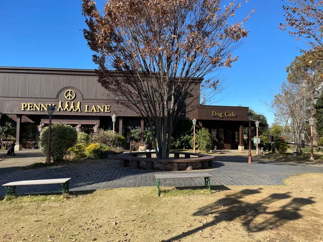 ペニーレインドッグラン