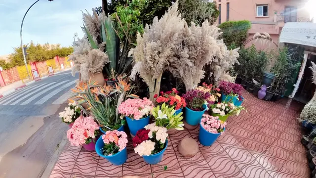Fleuriste Marrakech Belaid
