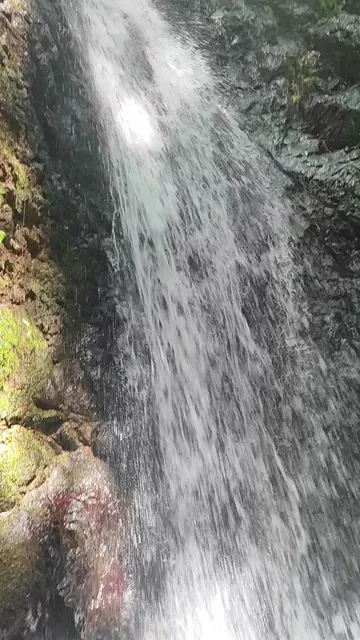 Refugio Nacional de Fauna Silvestre Golfito