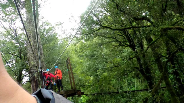 Rotorua Ziplines
